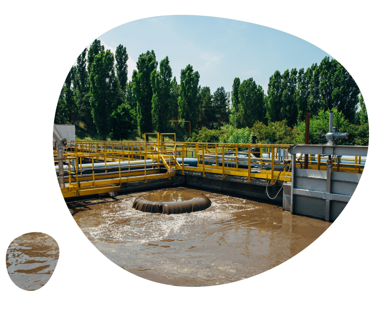 Le traitement biologique aérobie des eaux usées